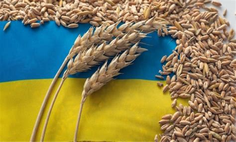Bulgaria to drop ban on Ukrainian grain imports